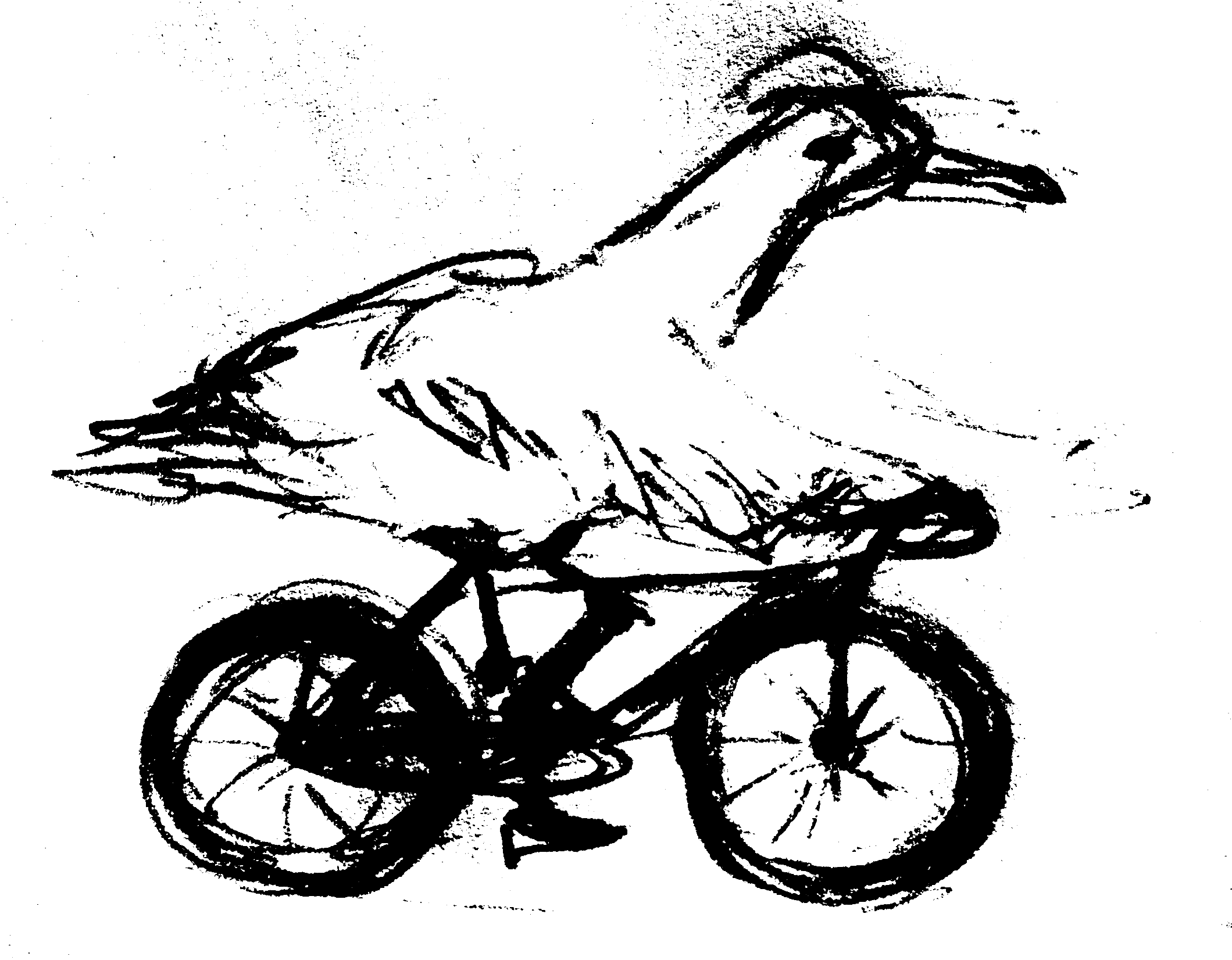 Illustration of a bird on a bike by Ema